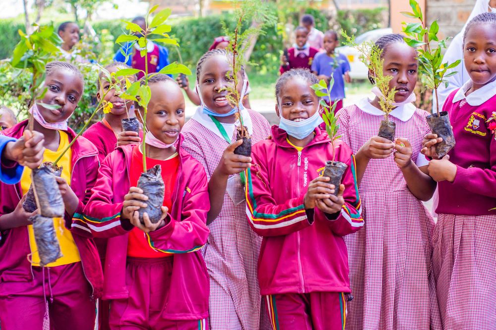 Students holding tree seedlings ready for planting
