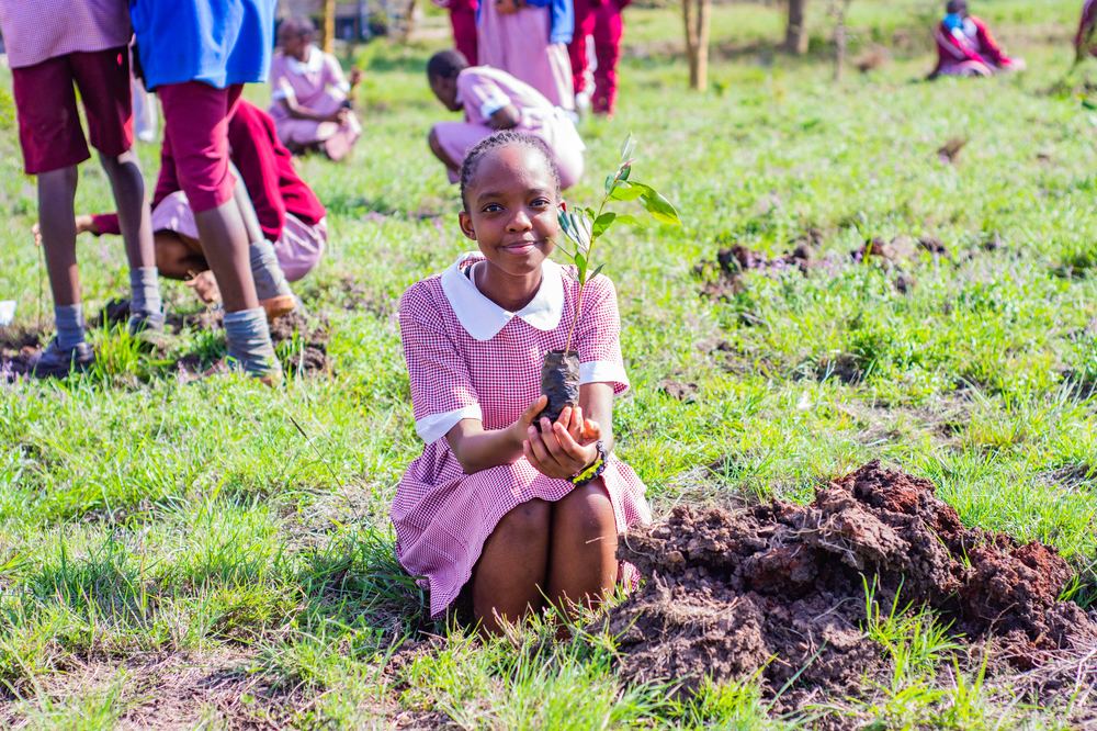 A student kneeling with a freshly planted seedling in a grassy field