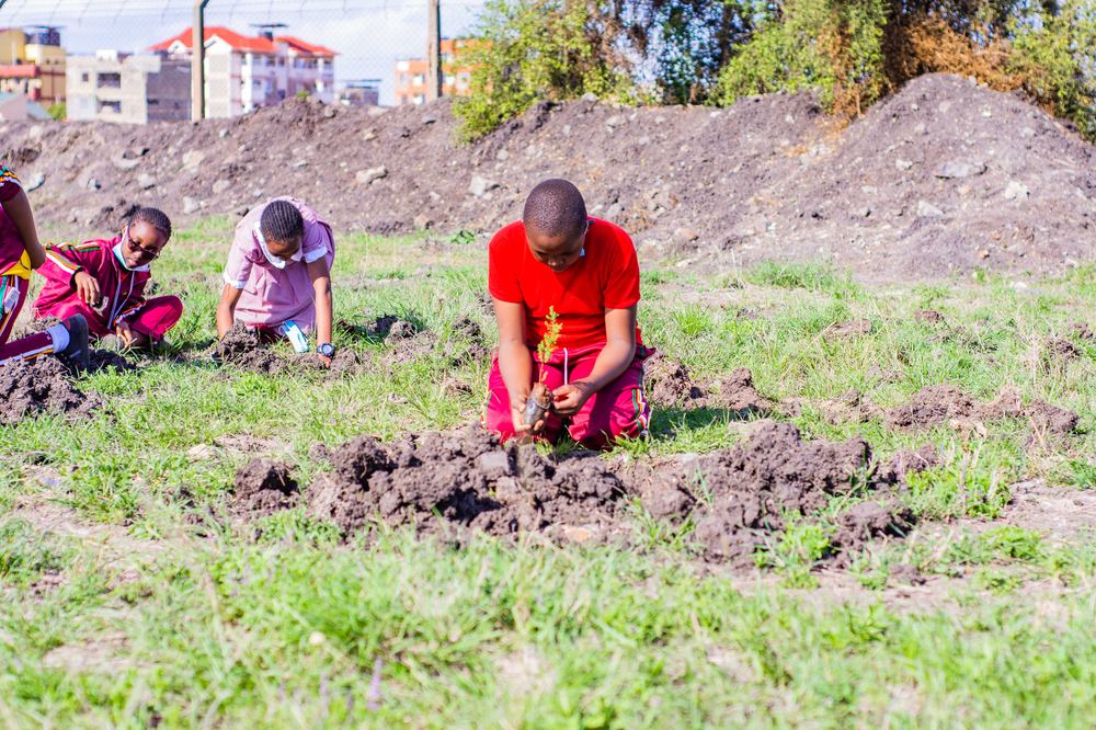 Students digging holes and planting seedlings in an open field